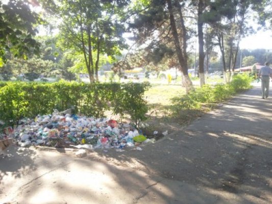 Tufişurile din parcul de la Gară au început să pută din cauza gunoaielor